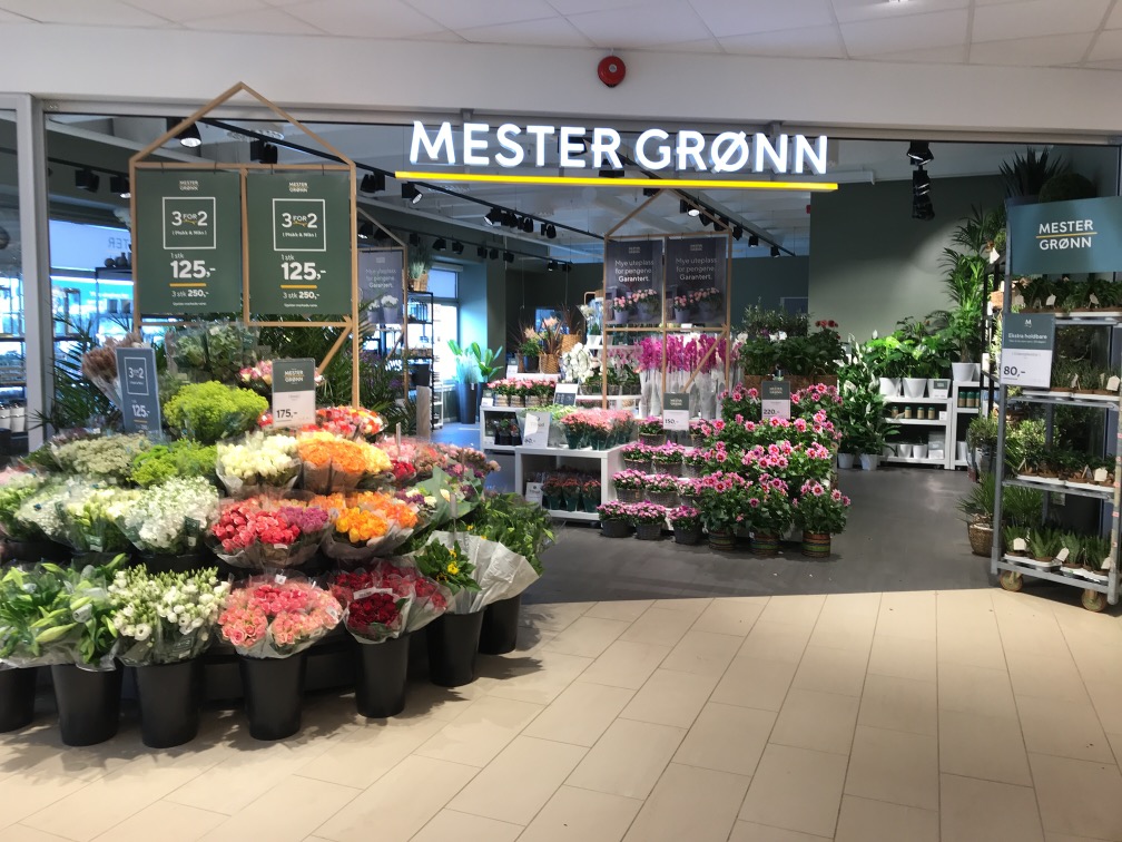 Mester Grønn inngangsparti