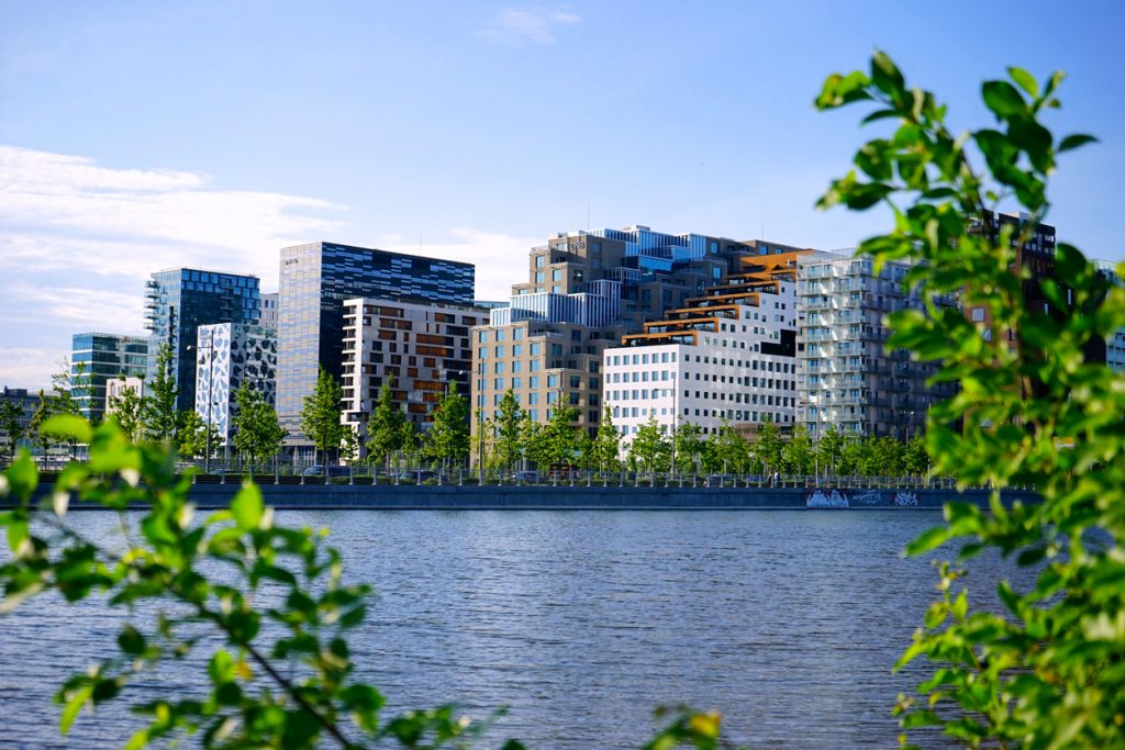 Oslo Bracode sett fra middelalderparken