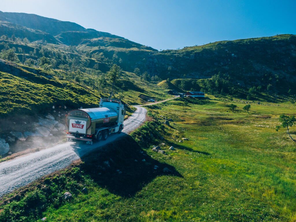 Senior Brand Manager