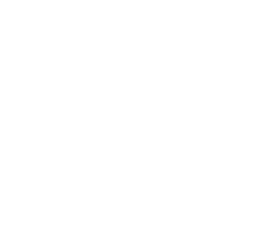 Nucleus logo