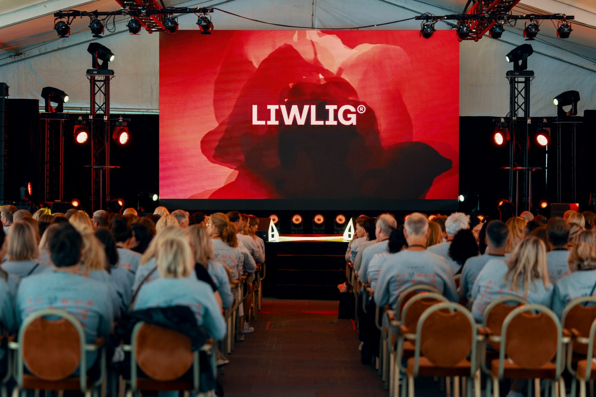 Liwlig søker Business Director