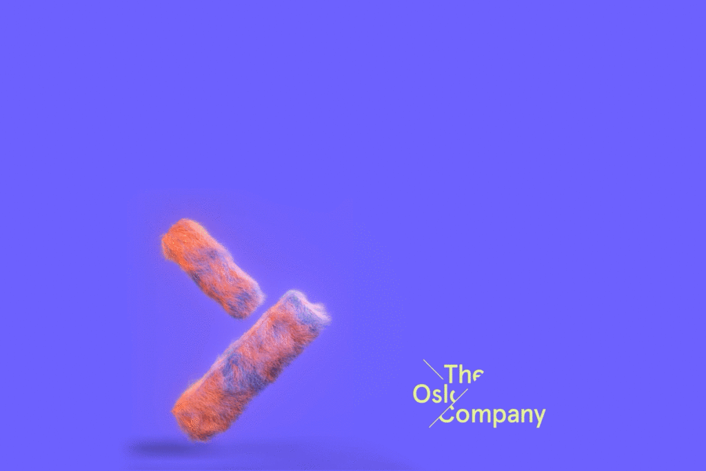 The Oslo Company